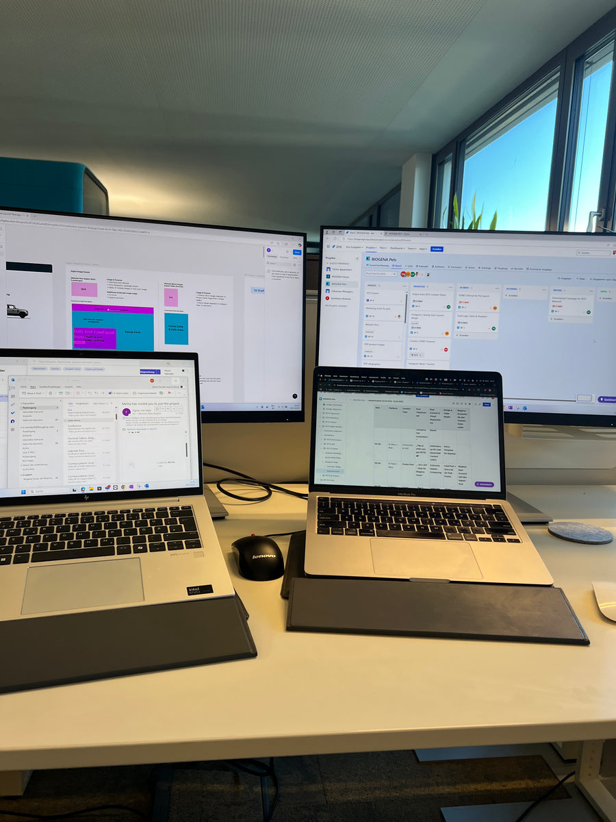 Desk setup done right